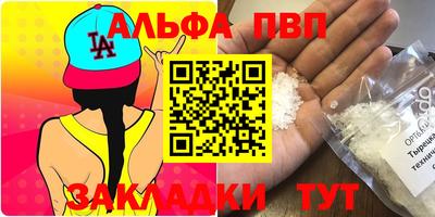 тгк Кингисепп