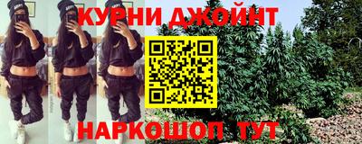 тгк Кингисепп