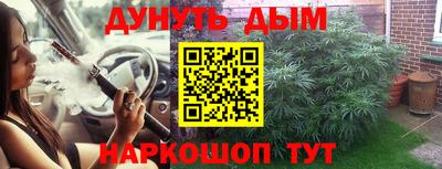 тгк Кингисепп