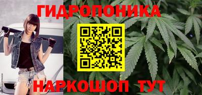 амф Кимры