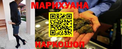 тгк Кингисепп