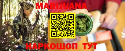 тгк Кингисепп