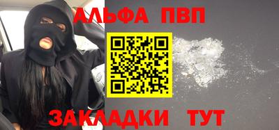тгк Кингисепп