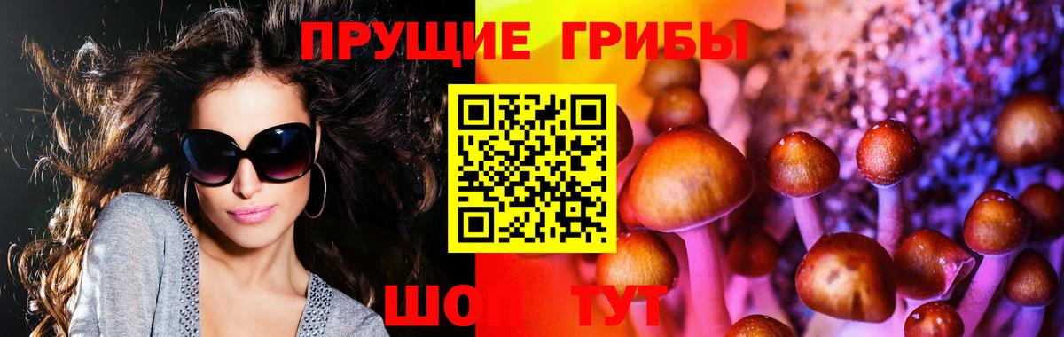 Галлюциногенные грибы Cubensis Старый Оскол