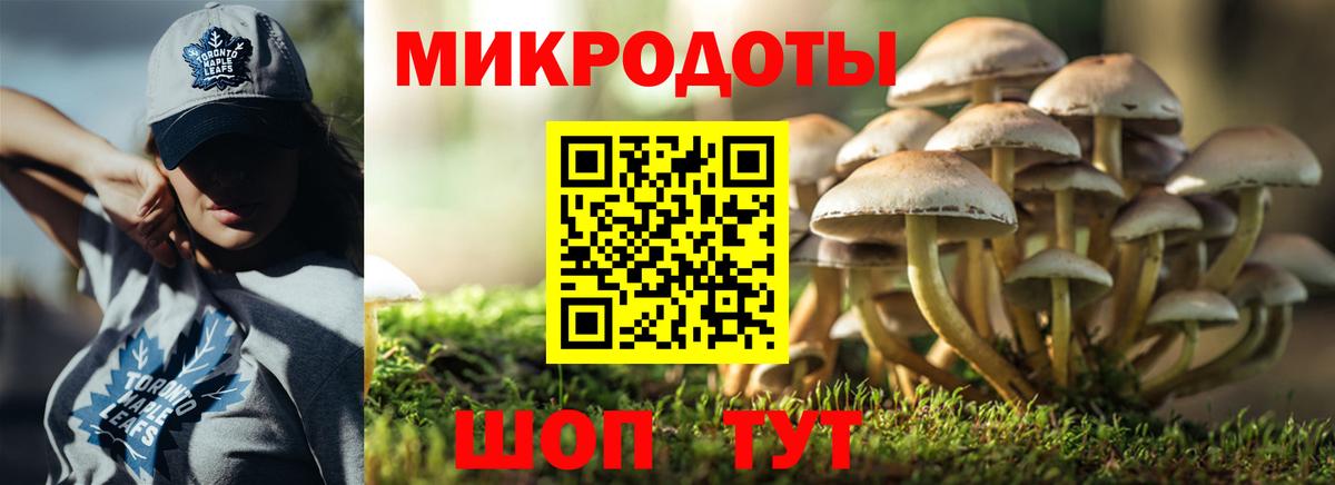 Старый Оскол  Галлюциногенные грибы мухоморы  Вход с VPN 